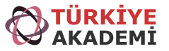 Türkiye Akademi logosu